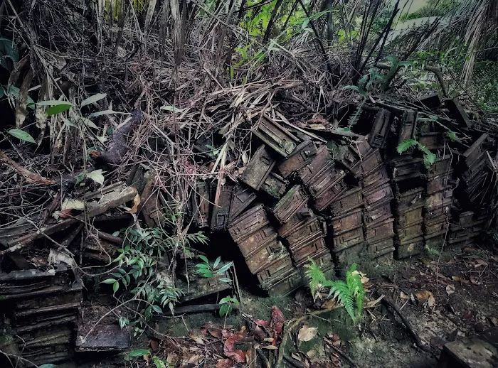Gunung Relau Trailhead Picture 10