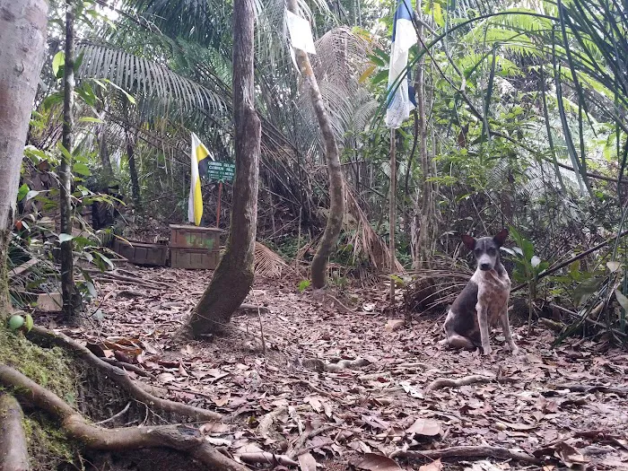 Gunung Relau Trailhead Picture 7