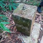 Puncak Bukit Jeli