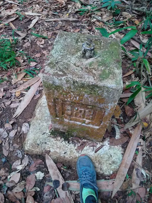 Puncak Bukit Jeli Picture 5