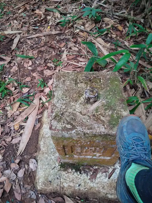 Puncak Bukit Jeli Picture 2