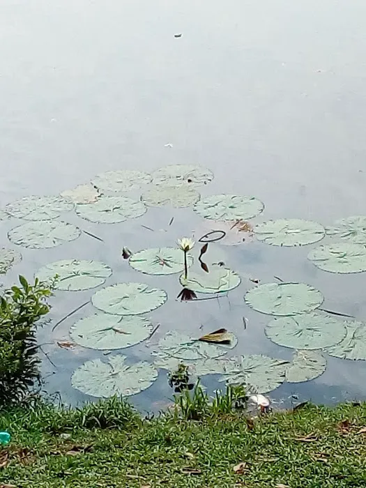 Kelana Lake Picture 7