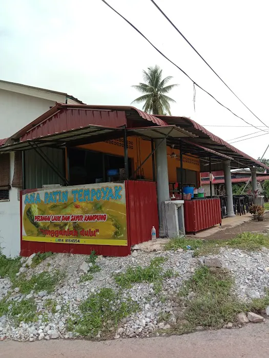 Restoran Ana Patin Tempoyak Picture 7