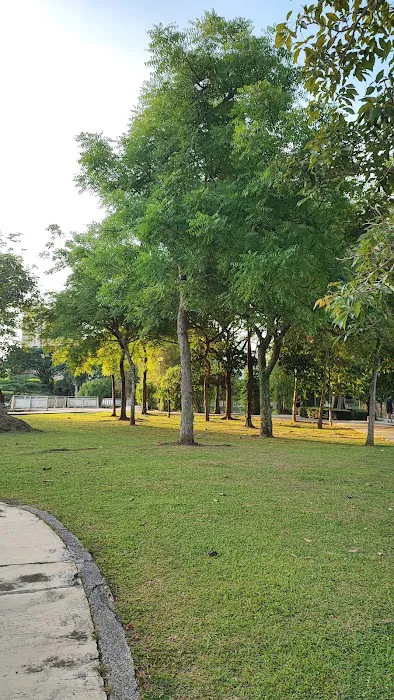 Youth Park Picture 7