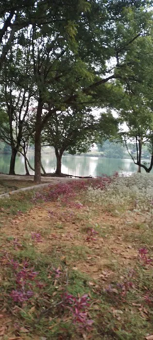 Youth Park Picture 3