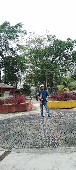 Youth Park Picture 5