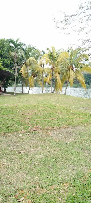 Youth Park Picture 6