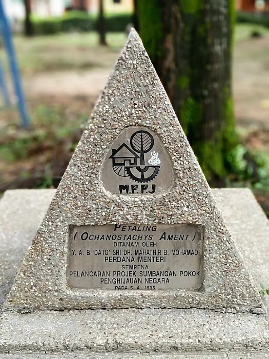 Taman Bandaran Kelana Jaya Picture 9