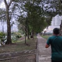 Kelana jaya youth park ico