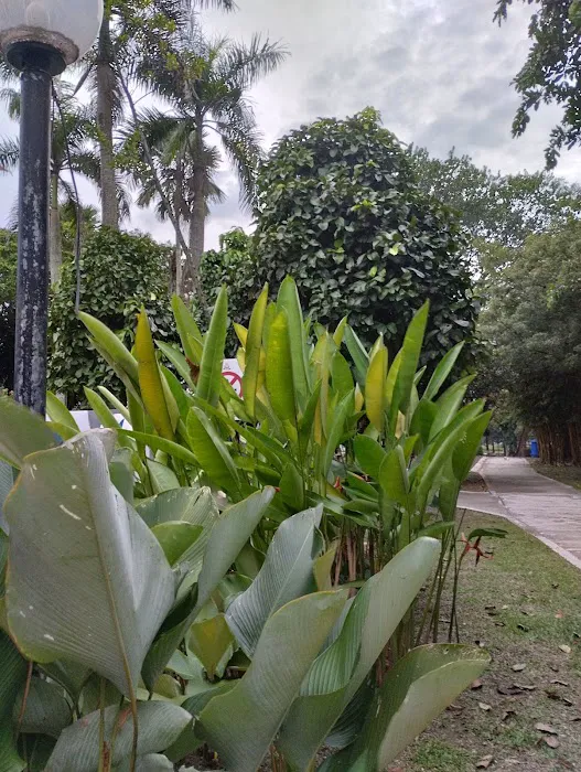 Kelana jaya youth park Picture 8
