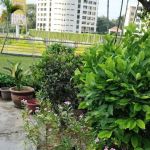 Gardenar Room & Electricity