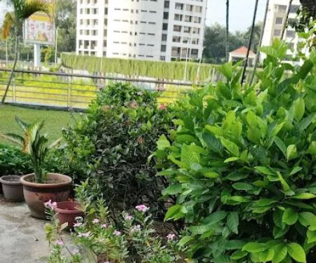 Gardenar Room & Electricity