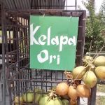 Kundang Stesen @ Kelapa Ori