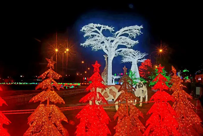 I City Picture 7