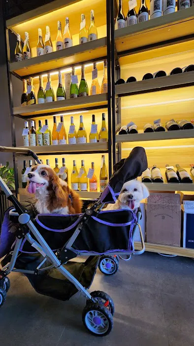Cinderella Wine Bar Picture 7