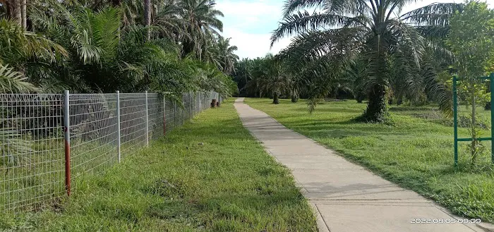 Taman Awam Bera (Bera Public Park) Picture 1