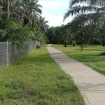 Taman Awam Bera (Bera Public Park)