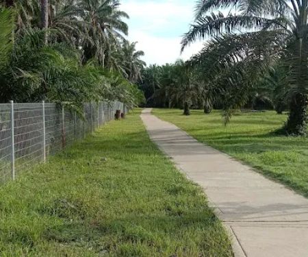 Taman Awam Bera (Bera Public Park)