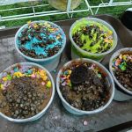 Ais kepal dan susu kental