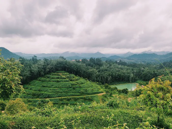 Ladang Durian Batu 2 Picture 2