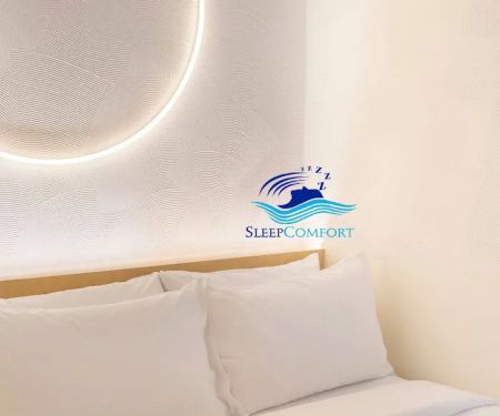 Home Renovation & Wall Painting Services