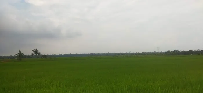 tepi ban canal Picture 1