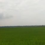 tepi ban canal