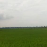 tepi ban canal ico