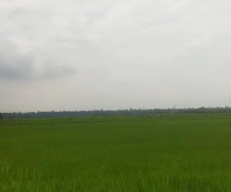 tepi ban canal