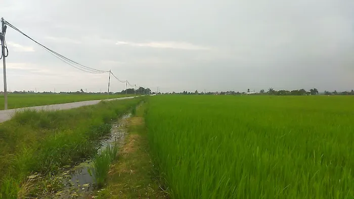 tepi ban canal Picture 3