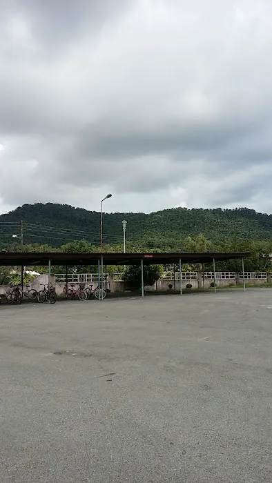 FELDA Bukit Cerakah Mosque Picture 3