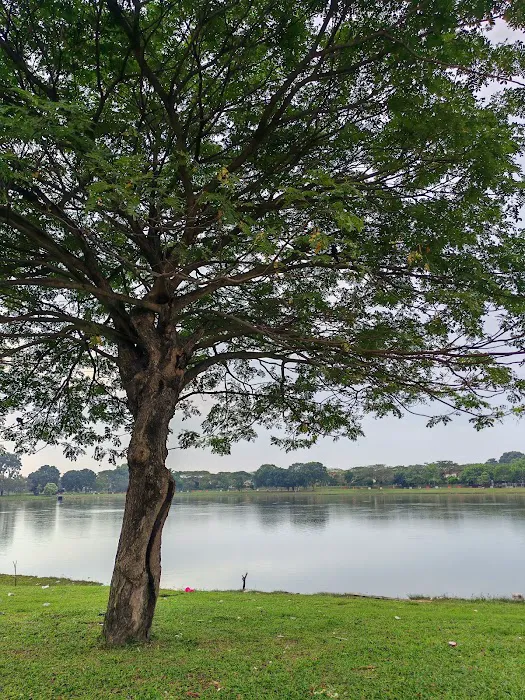 Bandar Botanic Lake Park Picture 9