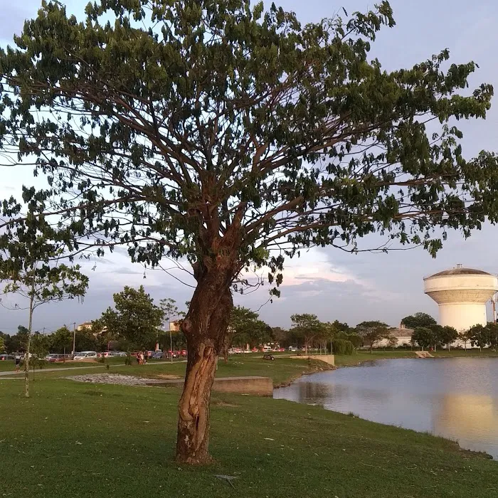 Bandar Botanic Lake Park Picture 6