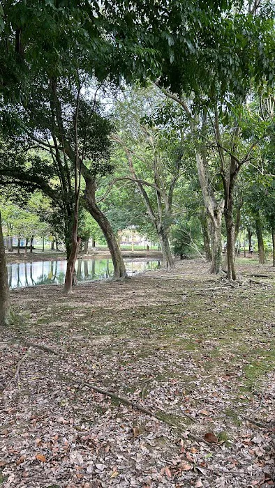 Bandar Botanic Lake Park Picture 5