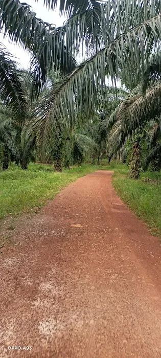 Zone A Picture 1