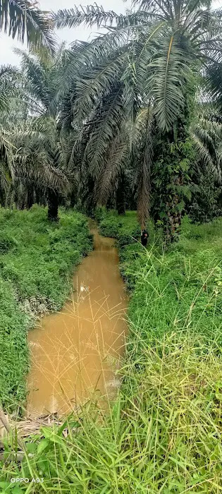 Zone A Picture 5