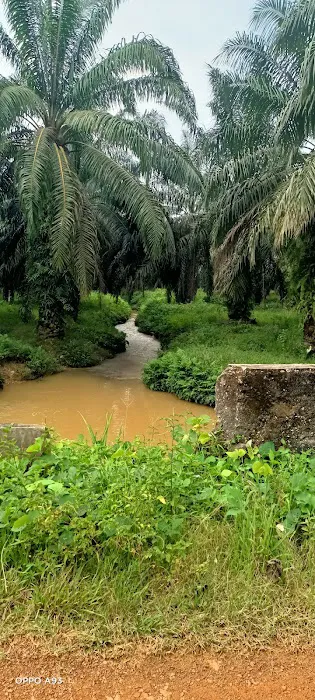 Zone A Picture 4