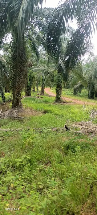 Zone A Picture 3