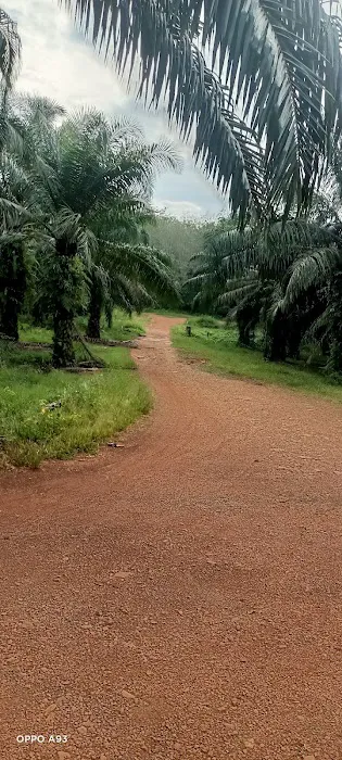 Zone A Picture 2
