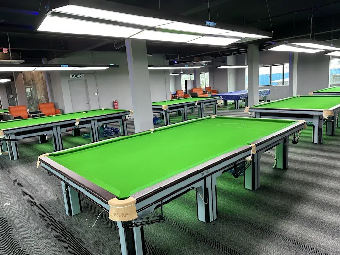 BS SNOOKER & POOL Picture 10