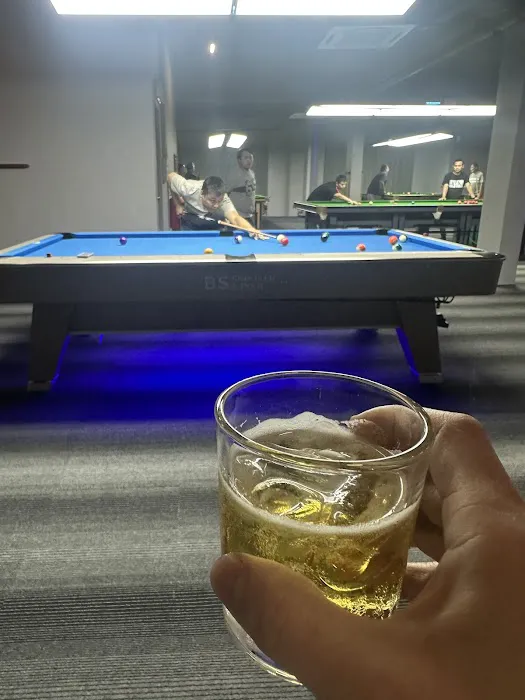 BS SNOOKER & POOL Picture 4