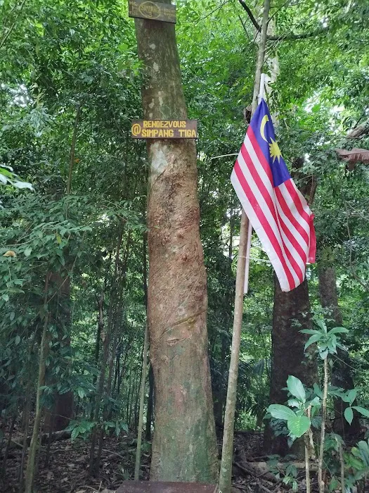 Kiara.Simpang Tiga Picture 2