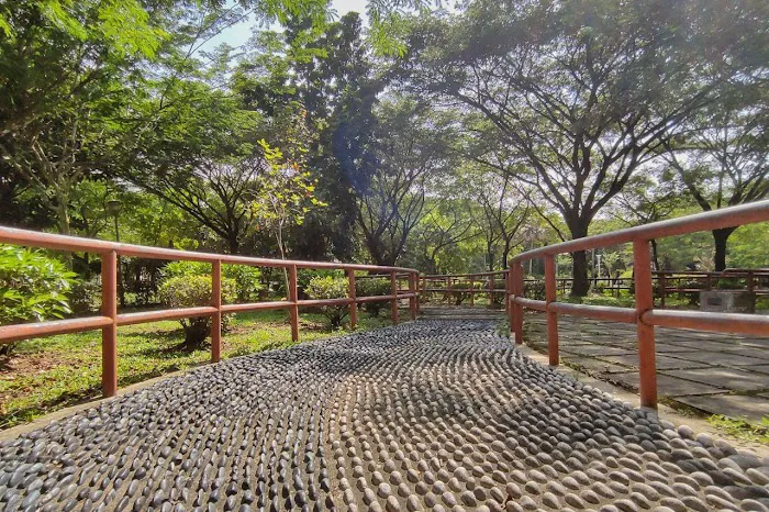 Parklands City People's Park Picture 5
