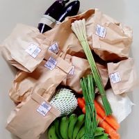 Veggies.my ico