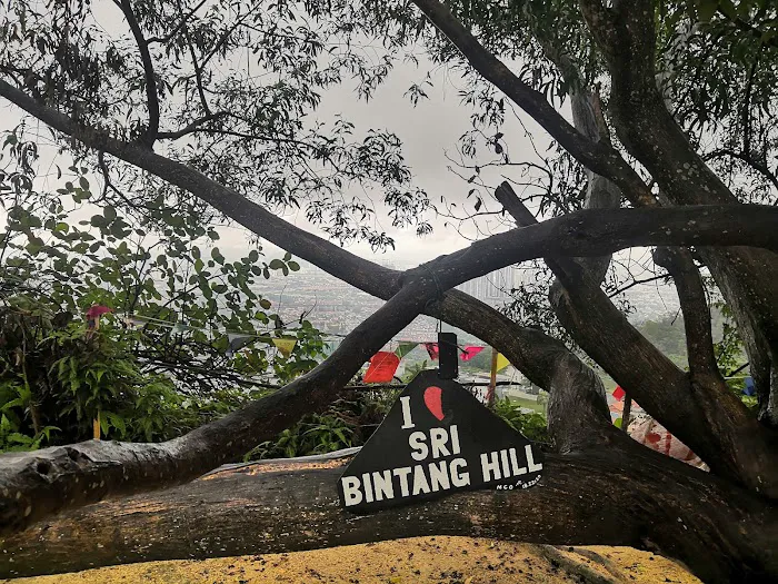 Sri Bintang Hill Trail Picture 7