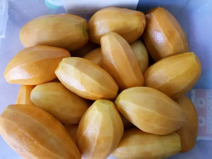 Mango Shake Bangi Picture 4