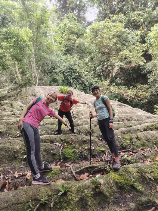Bukit Baginda New Trail (Gochang) Picture 2