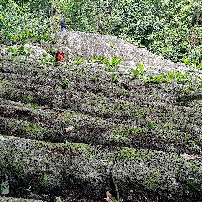 Bukit Baginda New Trail (Gochang) Picture 9