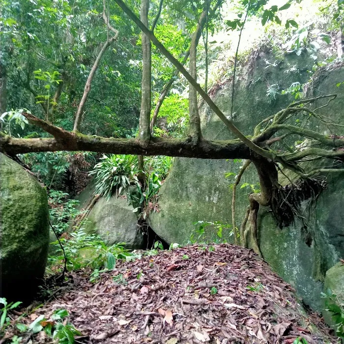Bukit Baginda New Trail (Gochang) Picture 7