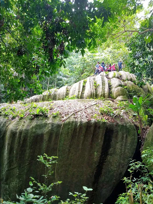 Bukit Baginda New Trail (Gochang) Picture 3